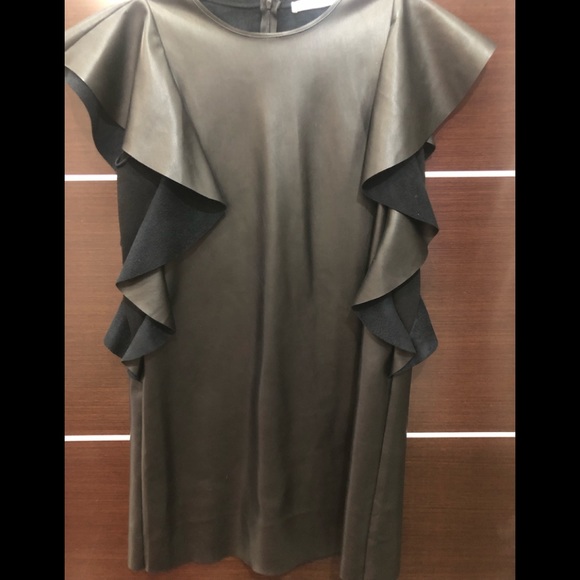 Zara Dresses & Skirts - Zara Faux Leather Ruffle sleeve black Dress